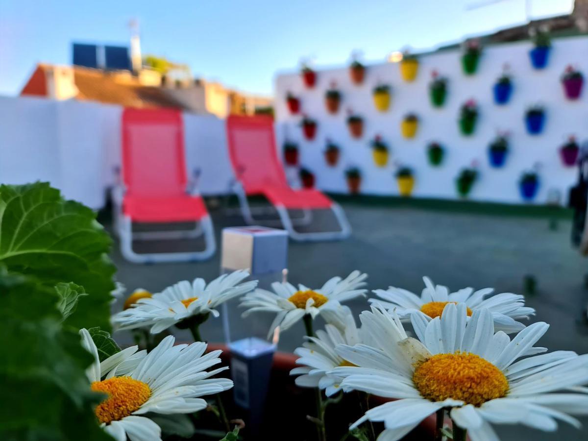 Hostal Funky By Arc House - Cordoba, Cordoba